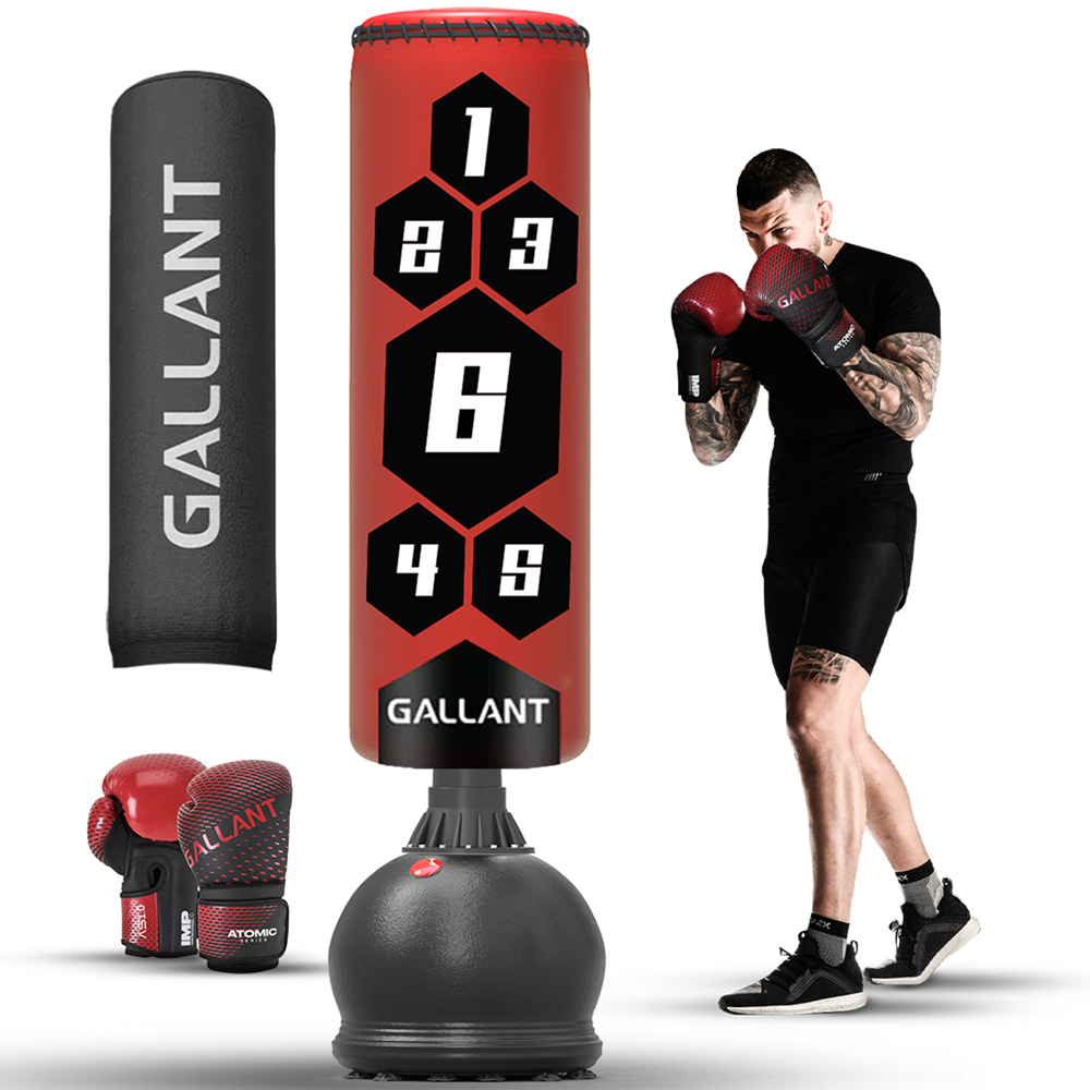 5.5ft Free Standing Punch Bag with 10oz Gloves and Cover – Bionix Shop