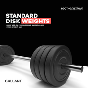 10kg Weight Plates - Two Pack Sale Price,Standara disk weights.